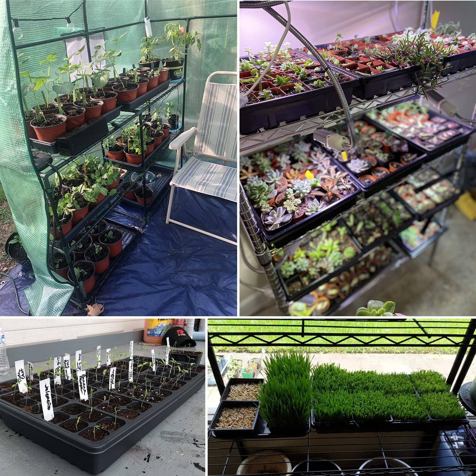 5 Stück Anzuchtplatten Pflanzen Schwarz 54 x 28 cm Anzuchtschalen Pflanzschalen Ohne Abflusslöcher für Pflanzenkeimung Microgreens Hydroponic Application