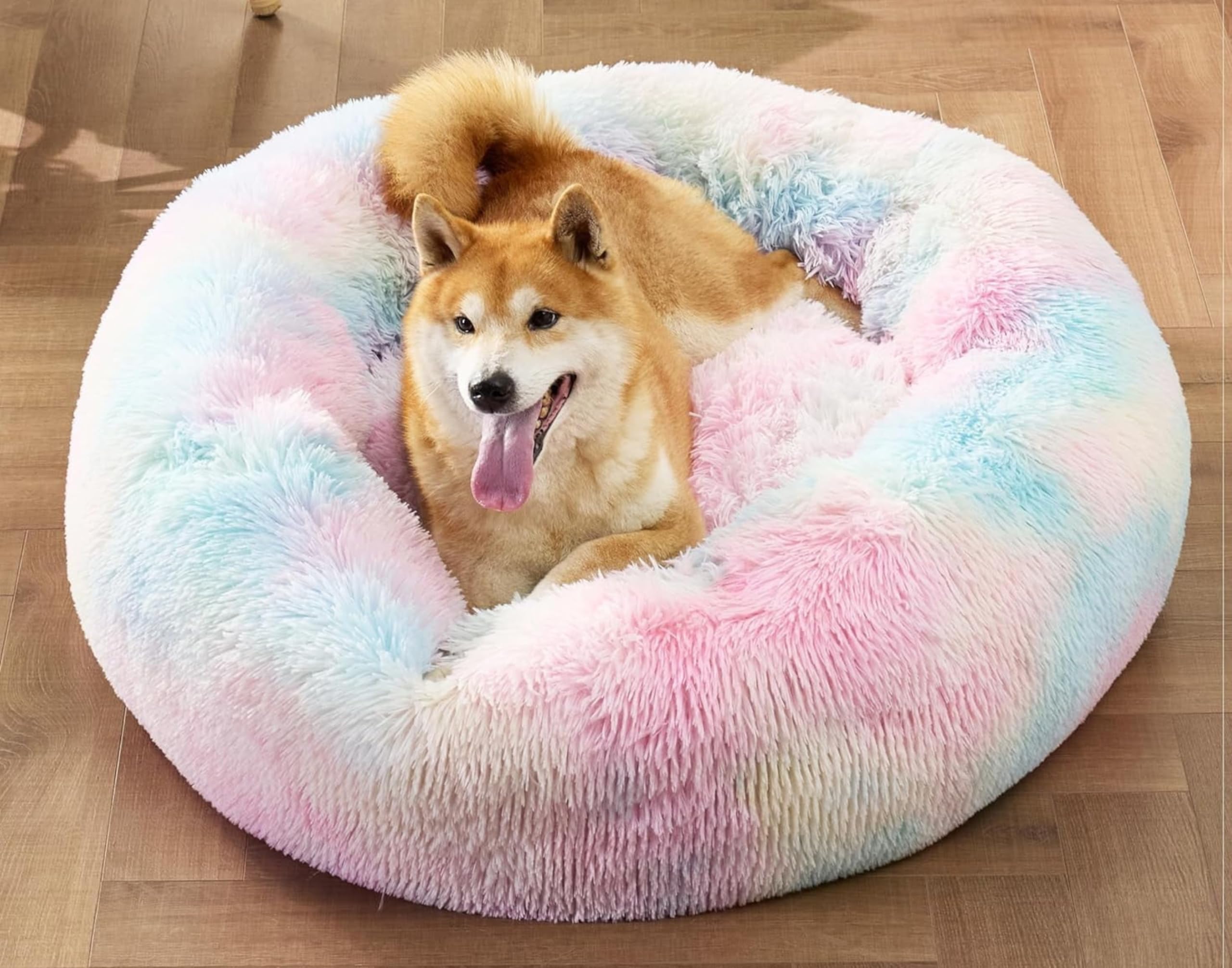 ZEXSAZONE Cozy, Flexible pet Bed is Perfect for Indoor Cats and Puppies for All Weather. (Rainbow, Large)