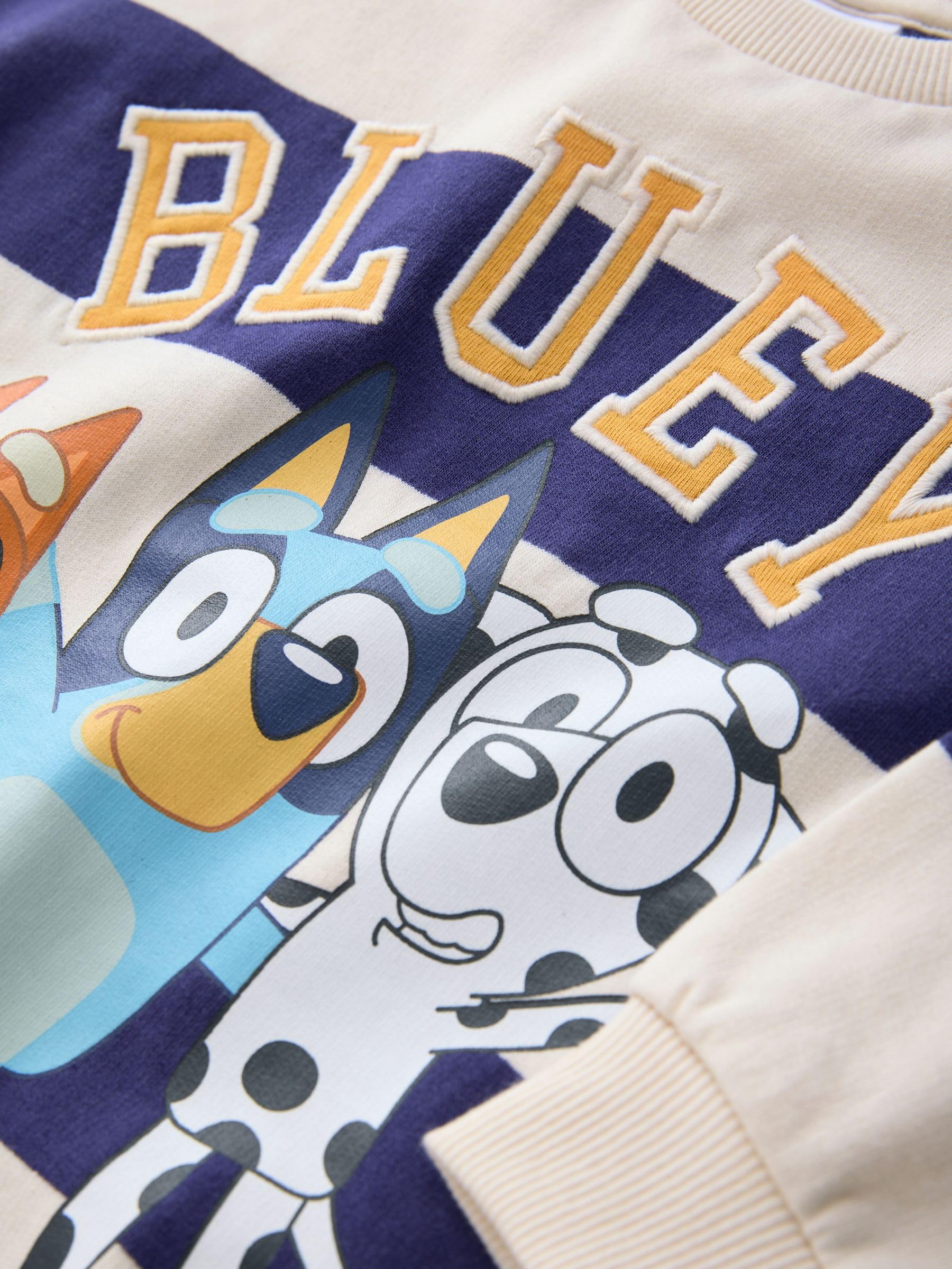 NEXT Jungen Bluey Sweatshirt mit Rundhalsausschnitt Baumwolle 80-128