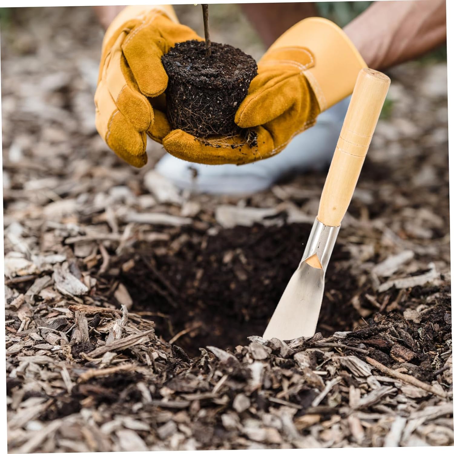 2sets Succulent Garden Tool Set Garden Shovel Trowel Hoe for Digging Loosening Planting and Transplanting Plants 2pcs*2 (5)