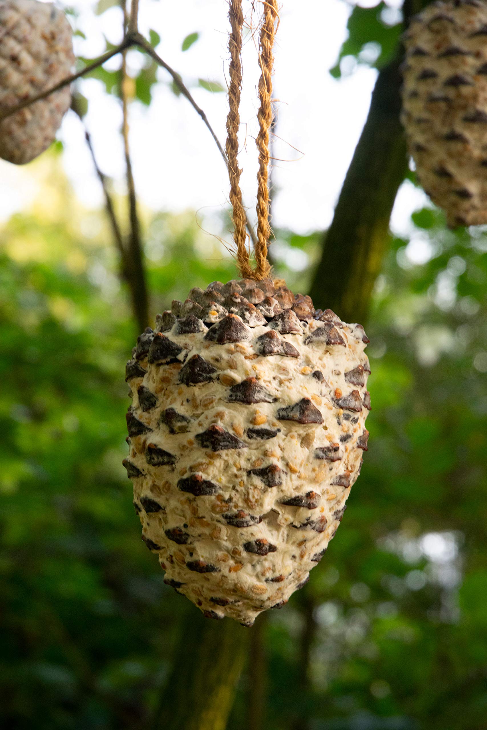 dobar 24104e Mélange de Nourriture pour Oiseaux, mélange de Graisses à Suspendre, Quatre cônes géants et Petits cônes de mésange (Environ 120 g), Blanc…