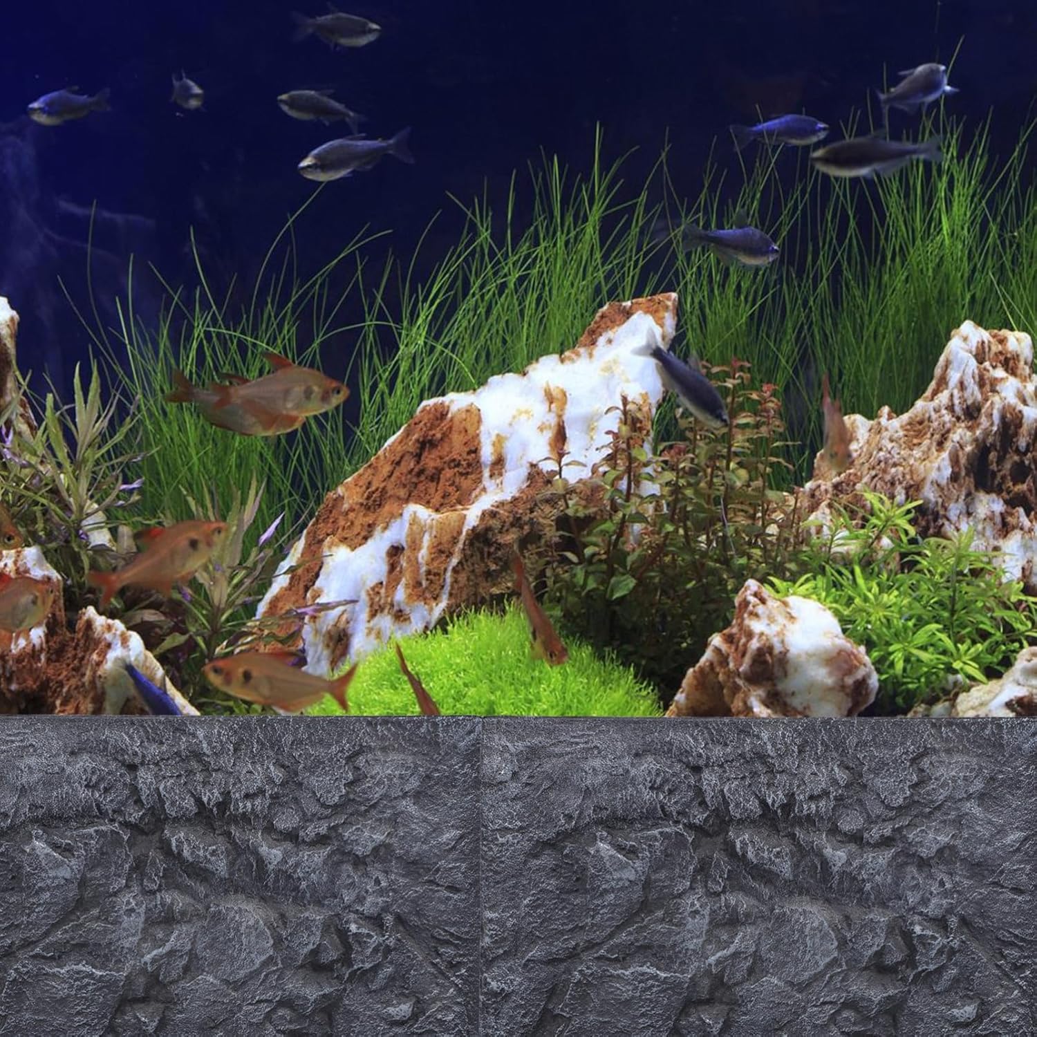 Totority Fish Tank Background Decor Easy to Install Aquarium Wall Art for Home Scene Adornment Lightweight and Chic Design for Fresh Aquatic Environments