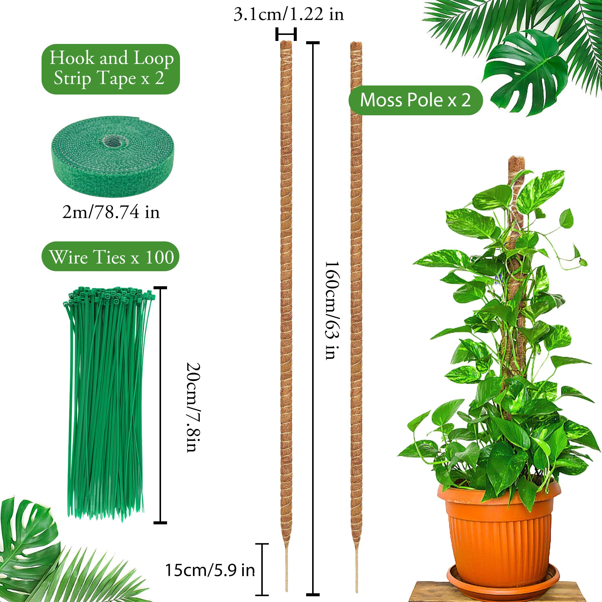 COZCLAM Tutores para Plantas, 2 Piezas 160cm Estaca de Fibra de Coco, Palo de Musgo, Soportes Plegables para Plantas, Tutor Monstera, Soporte Monstera para Plantas Trepadoras de Crecimiento Ascendente