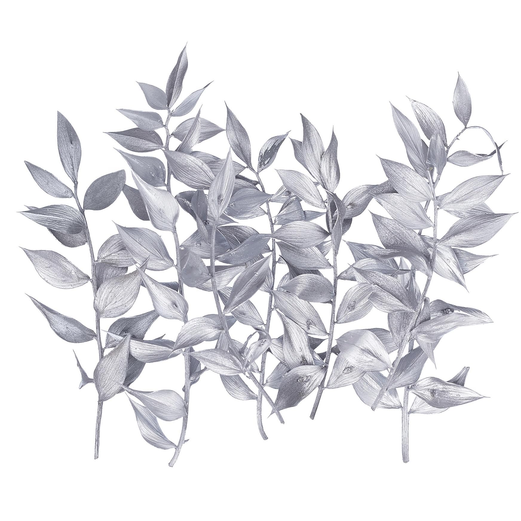 The Baked Studio - Original Dried Flower Ruscus Set For Cake & Cupcake Decorating & Others Crafts (Silver)