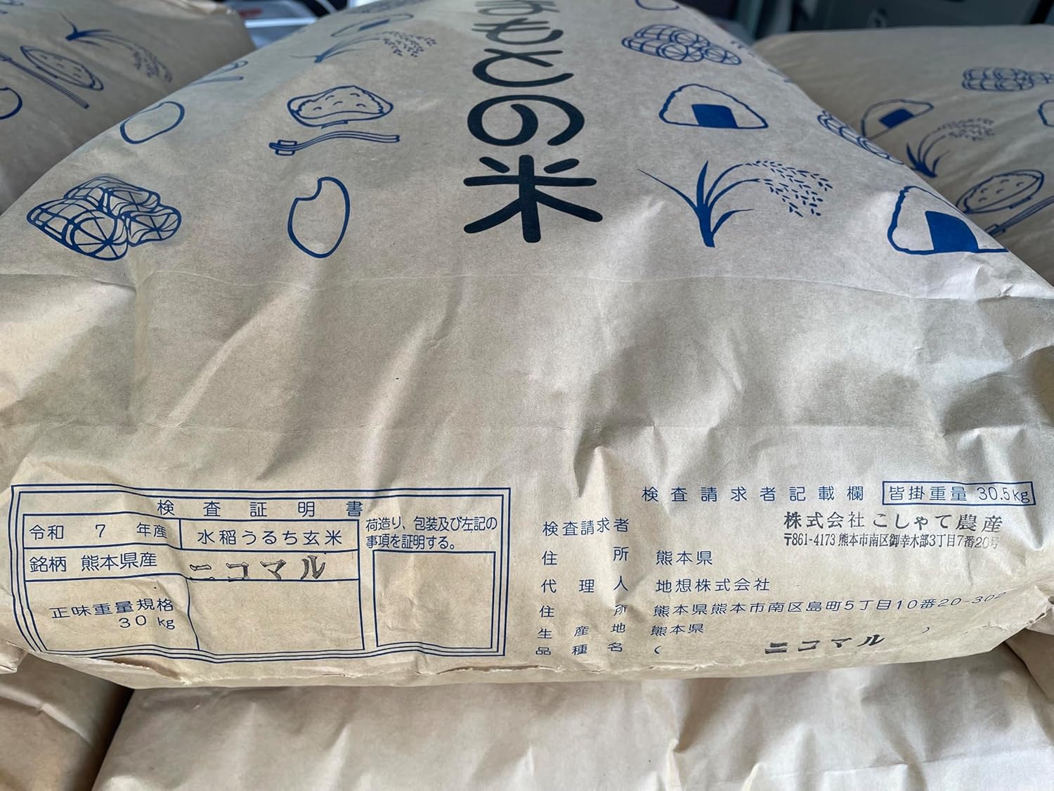 西濃運輸営業所留め発送限定 新米 令和7年度産 にこまる 玄米30kg 熊本県産 減農薬米 こしゃて農産
