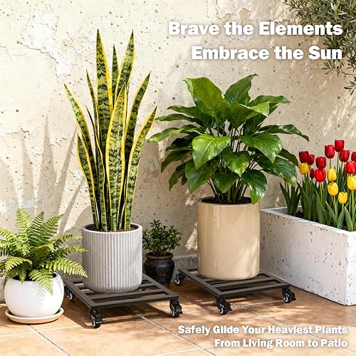 Miniatura 3 de Carrito para plantas con ruedas con cerradura, resistente, capacidad de 300 libras, carrito de plantas de hierro fundido de metal, soporte para