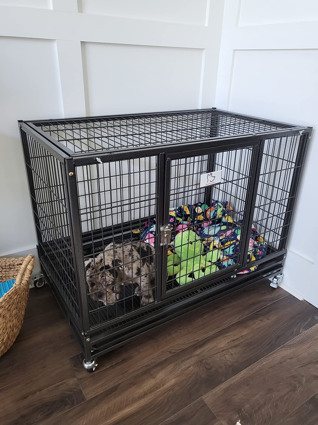 Bird Cage Cat Carriers Homey Pet 37 Extra Strong Cage For Medium