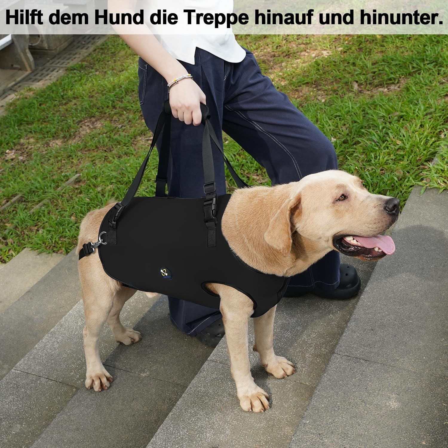 Coodeo Hundetragegurt: Unterstützungs & Rehabilitations-Schlinge, verstellbar gepolstert atmungsaktiv, für ältere, behinderte Hunde mit Gelenkproblemen oder Stabilitätsverlust (Schwarz, XL)