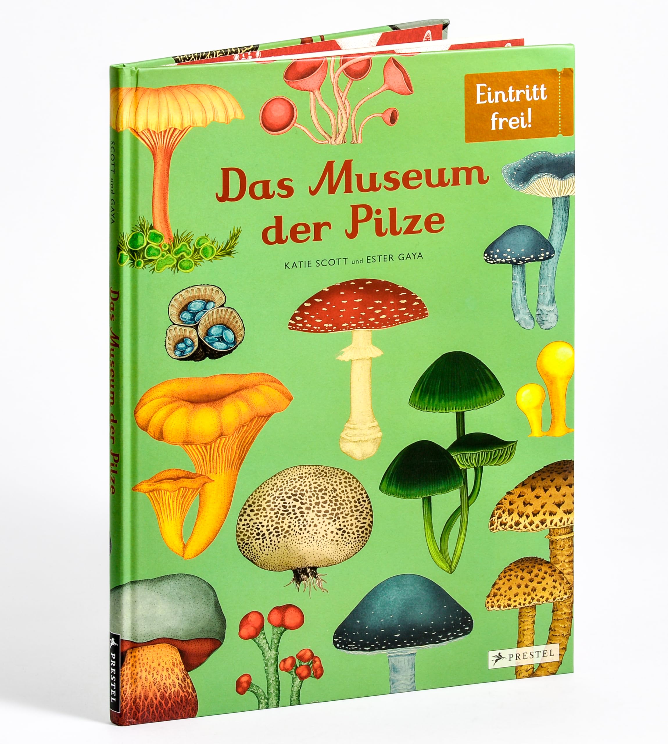 Das Museum der Pilze: Eintritt frei! - Sachbilderbuch im Großformat für Kinder ab 8 Jahren mit faszinierenden Pilz-Illustrationen von Katie Scott