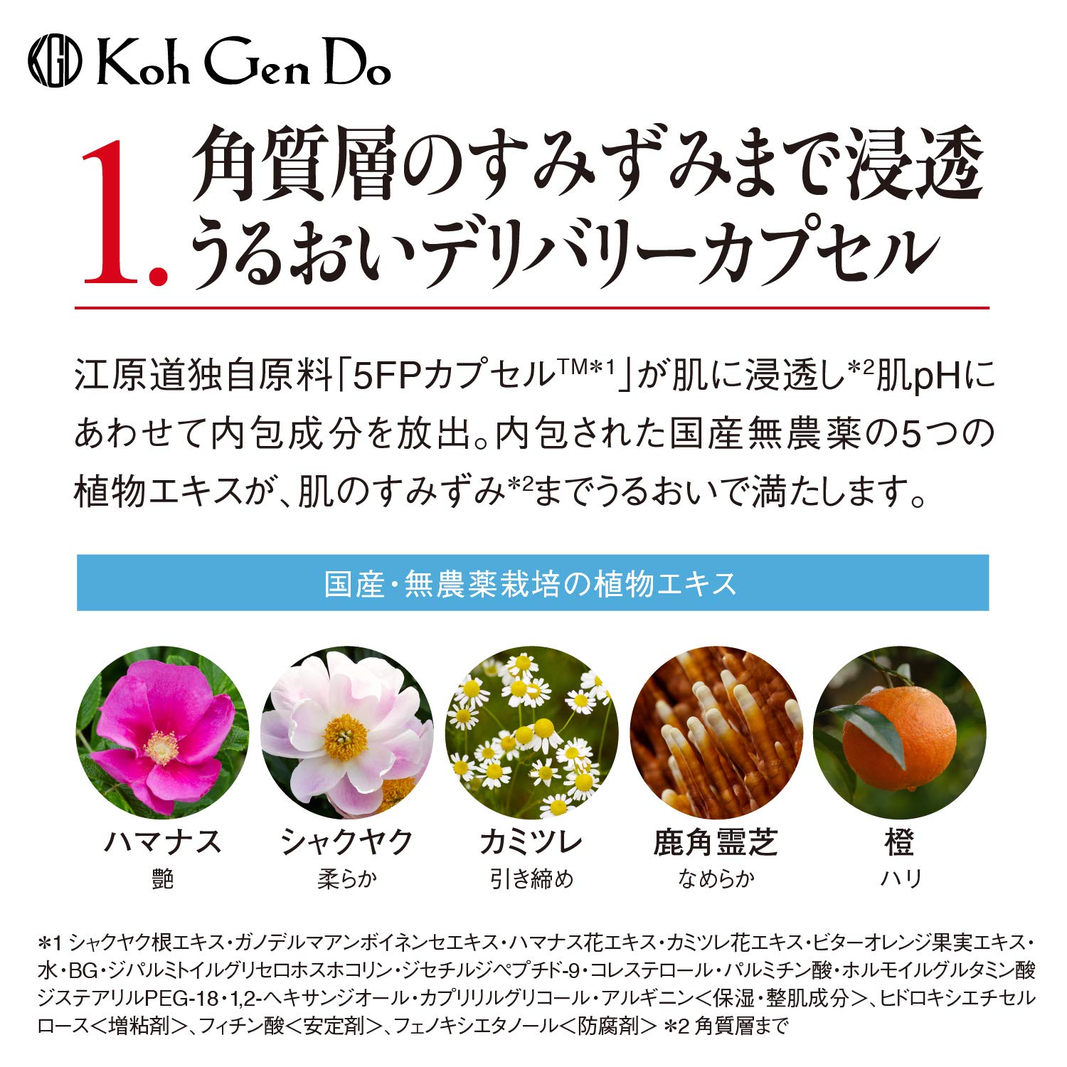 Amazon | コウゲンドウ(Koh Gen Do) 江原道 オリエンタル