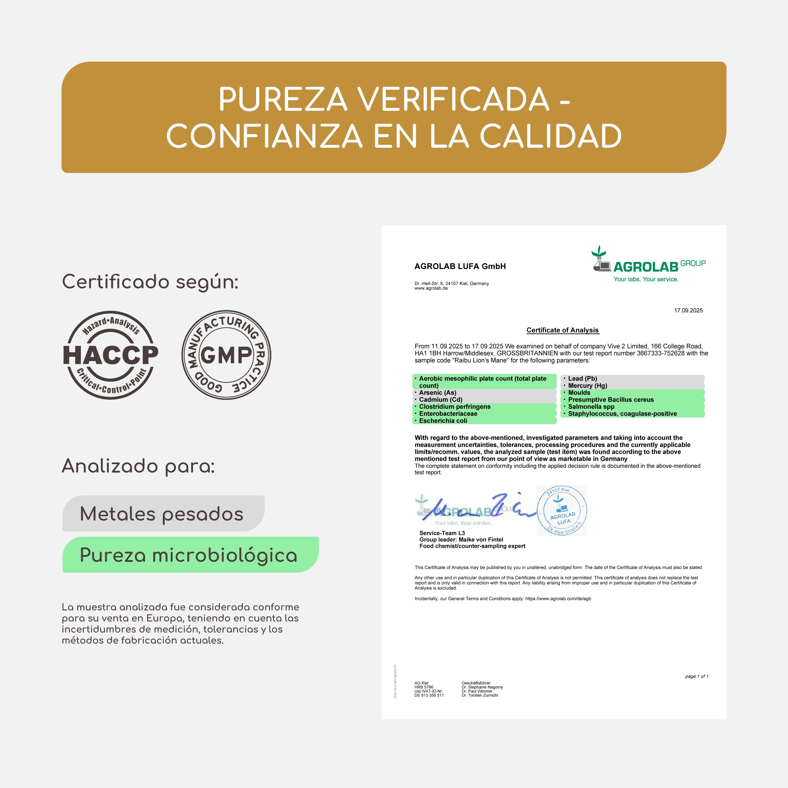 Melena de Leon 58.500 mg (30:1) por dosis diaria - Alta absorción Lions Mane (Hericium erinaceus) con vitamina C y pimienta negra - 30 % polisacáridos, 5 % betaglucanos - Sin OGM y Sin gluten