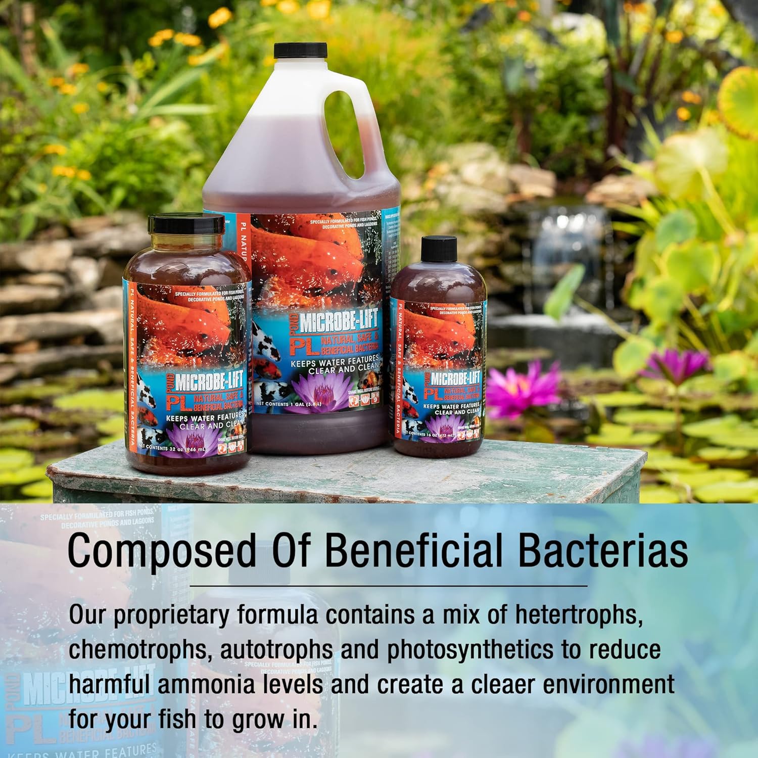 MICROBE-LIFT PL Pond Bacteria and Outdoor Water Garden Cleaner, Safe for Live Koi Fish, Plant Life, and Decor (1 Gallon) : Pond Water Treatments : Patio, Lawn & Garden