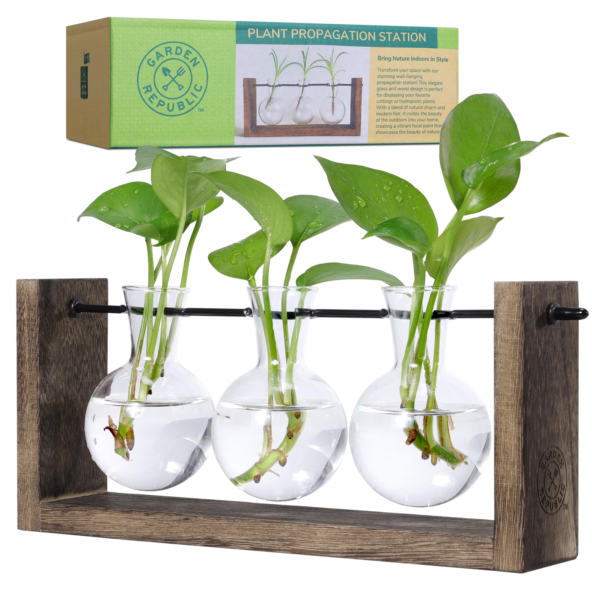 · GARDEN REPUBLIC · Plant Propagation Station, Wooden Stand with Propagation Tubes, Hanging Plant Glass Tubes Station, Elegant Home Decor, Easy Water