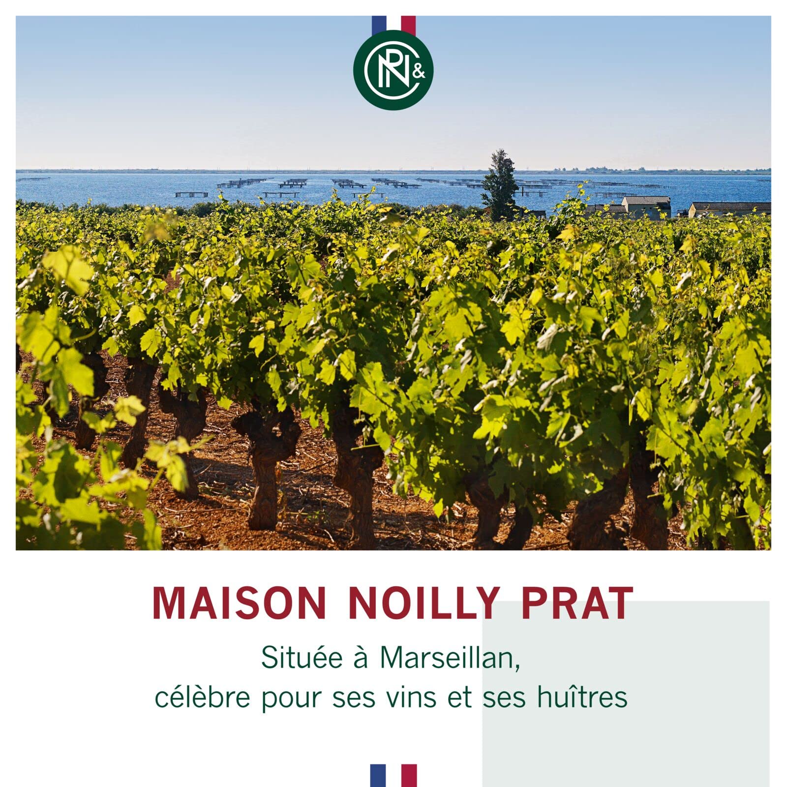 Noilly Prat Rouge Vermouth, 16% vol., 75 cl/750 ml, Apéritif Français Idéal pour Cocktail Martini, Composé de 29 Herbes Aromatiques et Épices dont l’Orange Douce, la Cannelle et les Fèves de Cacao