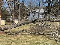 Review Image by Tom Tom