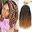 Passion Twist Hair 12 Inch 8 Packs Water Wave Crochet Hair Curly Braiding Hair For Butterfly Locs Long Bohe Crochet Braids (12 Inch (Pack of 8), 1B/30/27)