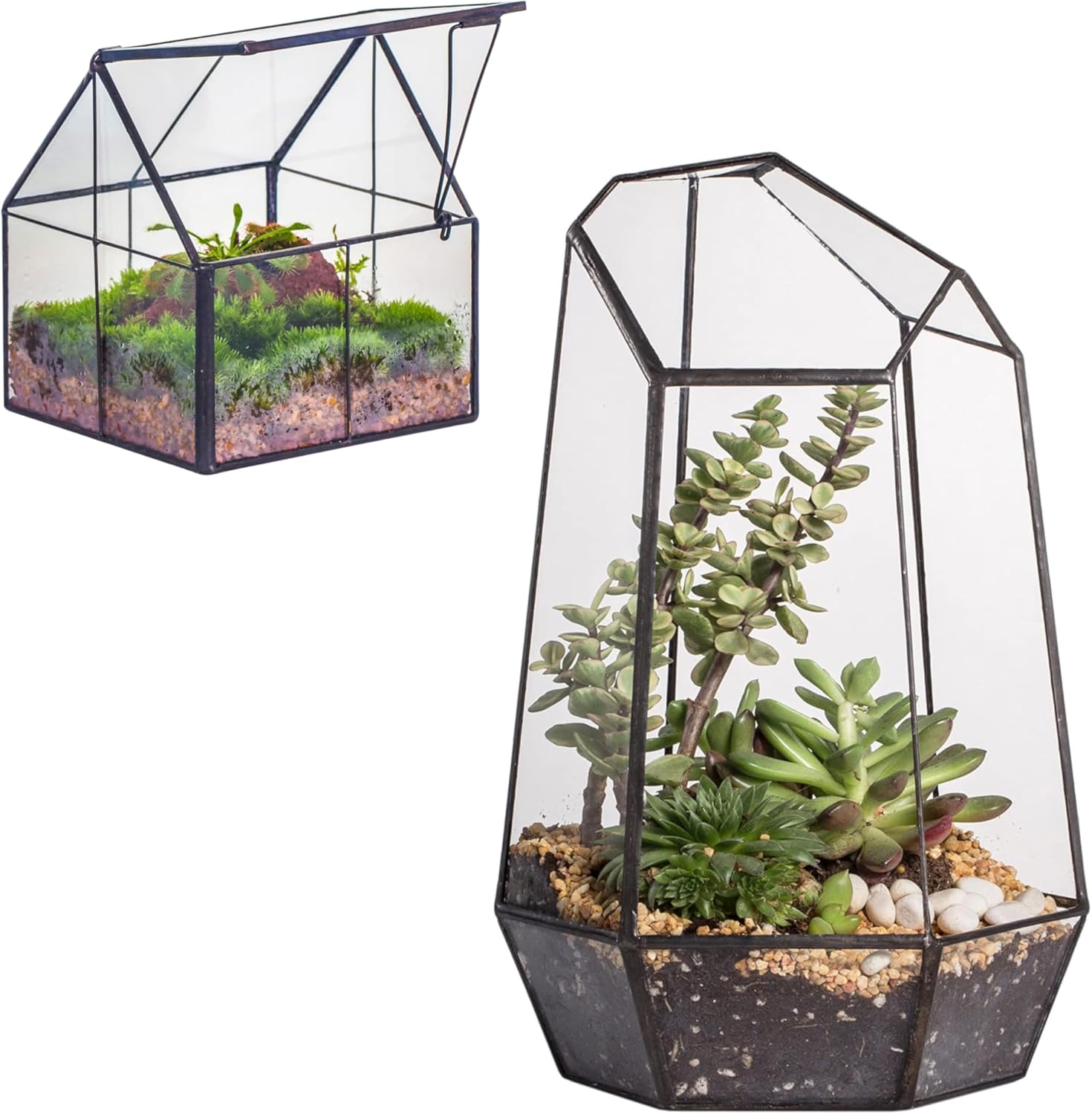 NCYP Glass Terrarium - Mini House Shape Terrarium with Lid, and Open Irregular Geometric Terrarium, for Small Succulent Cacti, Ferns, Indoor Home Garden Office Tabletop Decor (No Plants)
