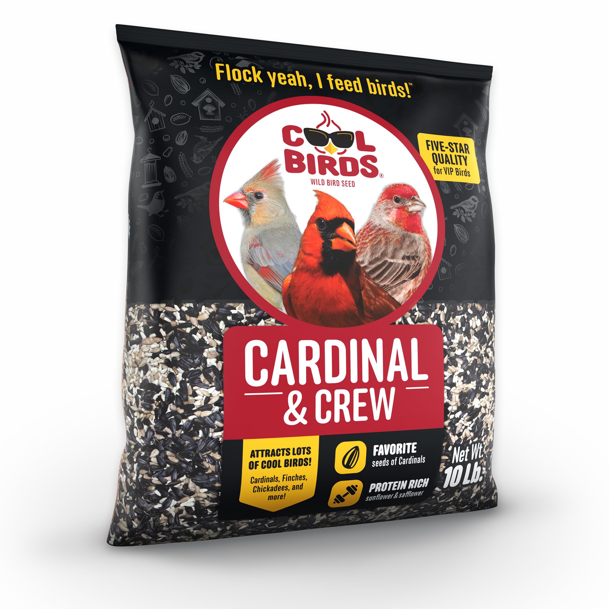 Cool Birds Cardinal & Crew - Semi di uccelli selvatici – 4,5 kg di olio nero di girasole, cuori di girasole e miscela di cartamo per cardinali, grosbeaks e pulcini – Mangime per uccelli da esterno