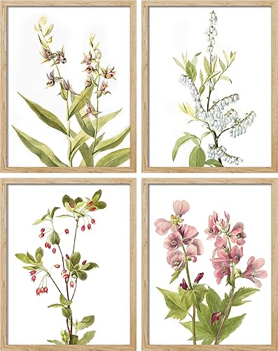 SIGNWIN Arte de pared enmarcado de flores silvestres del bosque, juego de 4 impresiones retro vintage de plantas antiguas, decoración de pared de