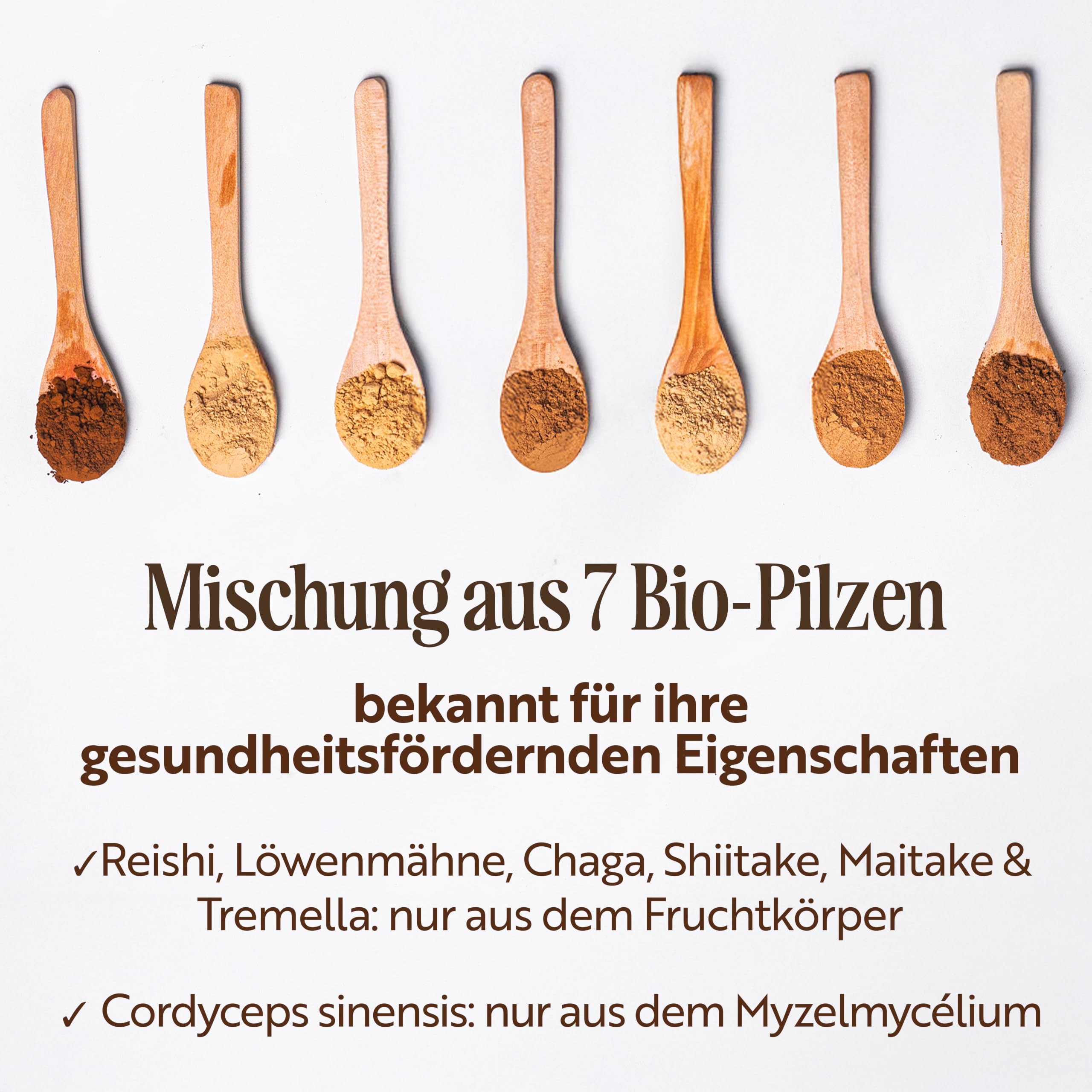Sevenhills Wholefoods Bio 7 Pilz Pulver 500g, Löwenmähne, Reishi, Chaga, Cordyceps, Shiitake, Maitake, Tremella