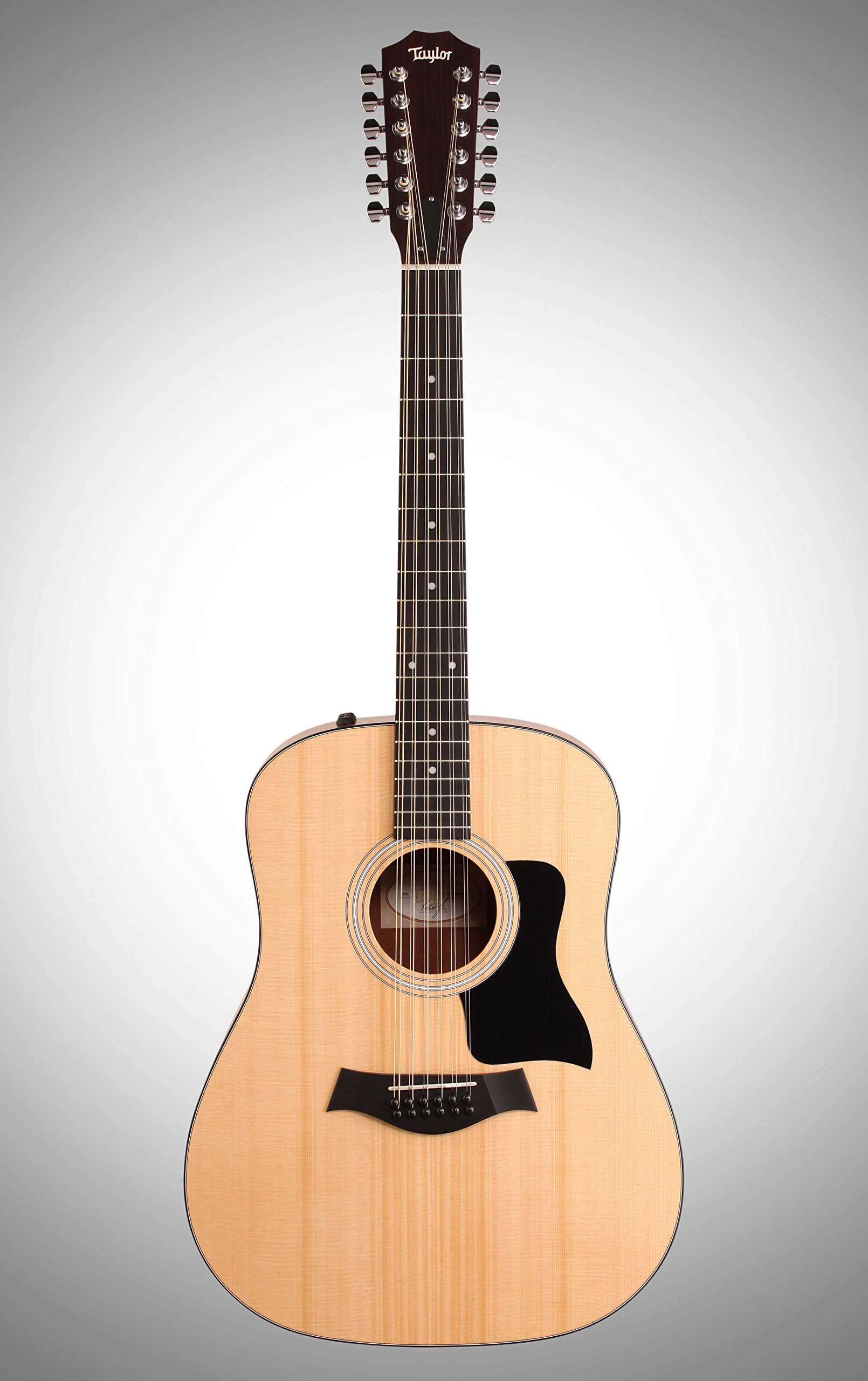 Taylor chitarra western 150E
