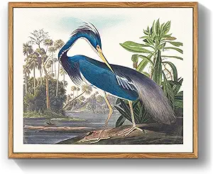 crmotu Bird Framed Wall Art, Heron Vintage Wall Decor Paintings, Nature Animal Canvas Art Prints, Still Life Aesthetic Wall Pictures for Living Room Bedroom Bathroom Farmhouse Cottagecore, 12x16inch