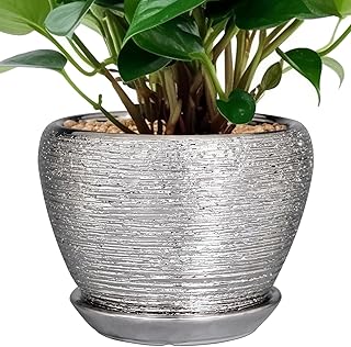 Ceramic Planter - 6 Inch Plant Pot Indoor with Drainage Hole and Saucer ...