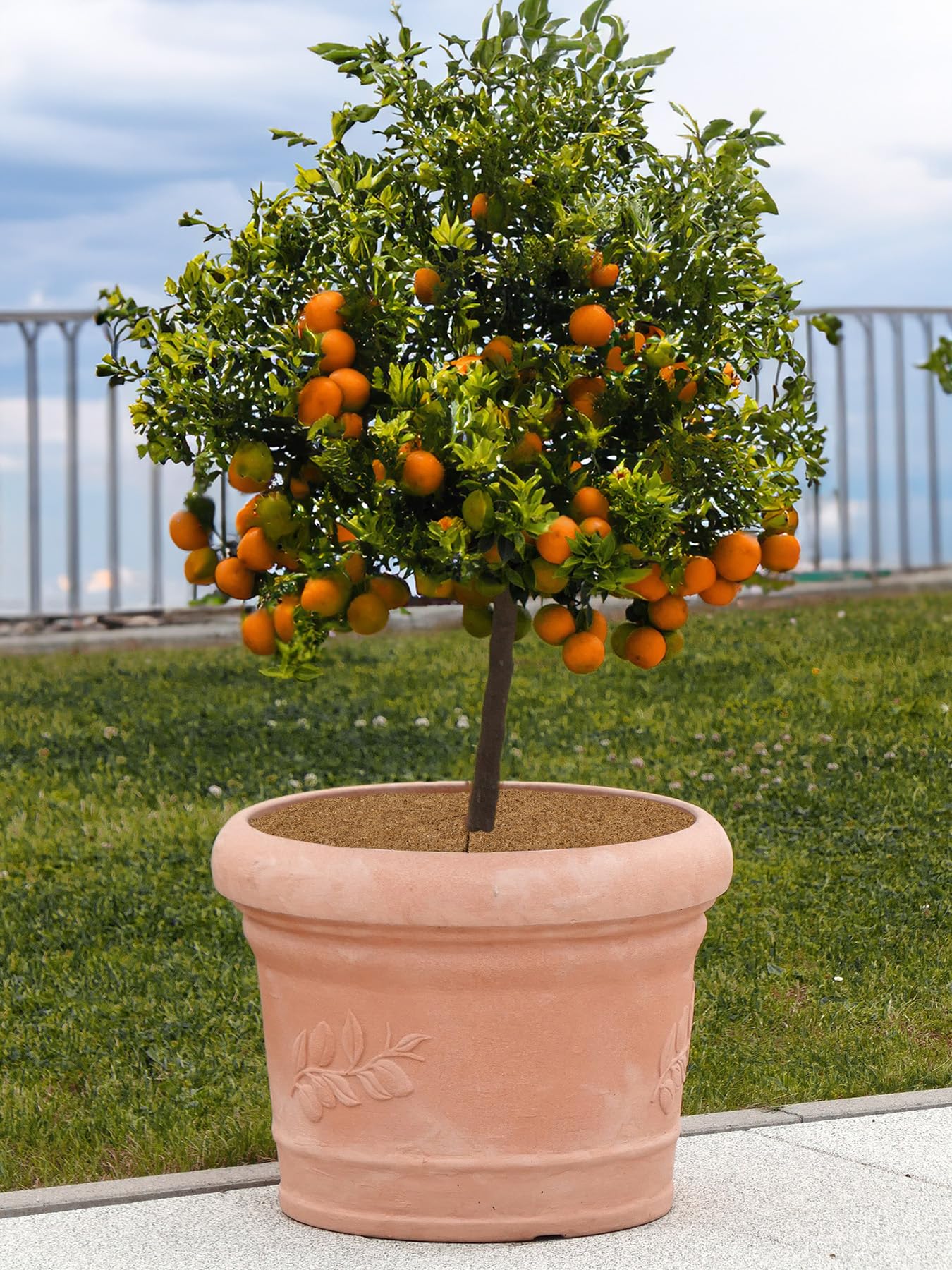 La cordeline Set di 10 Dischi pacciamatura, Ø 40 cm, in Fibra di Cocco Naturale, 900 g/m², Tappeto Protettivo per Piante, Erbe Cattive, Protezione pianta in Vaso, Marrone
