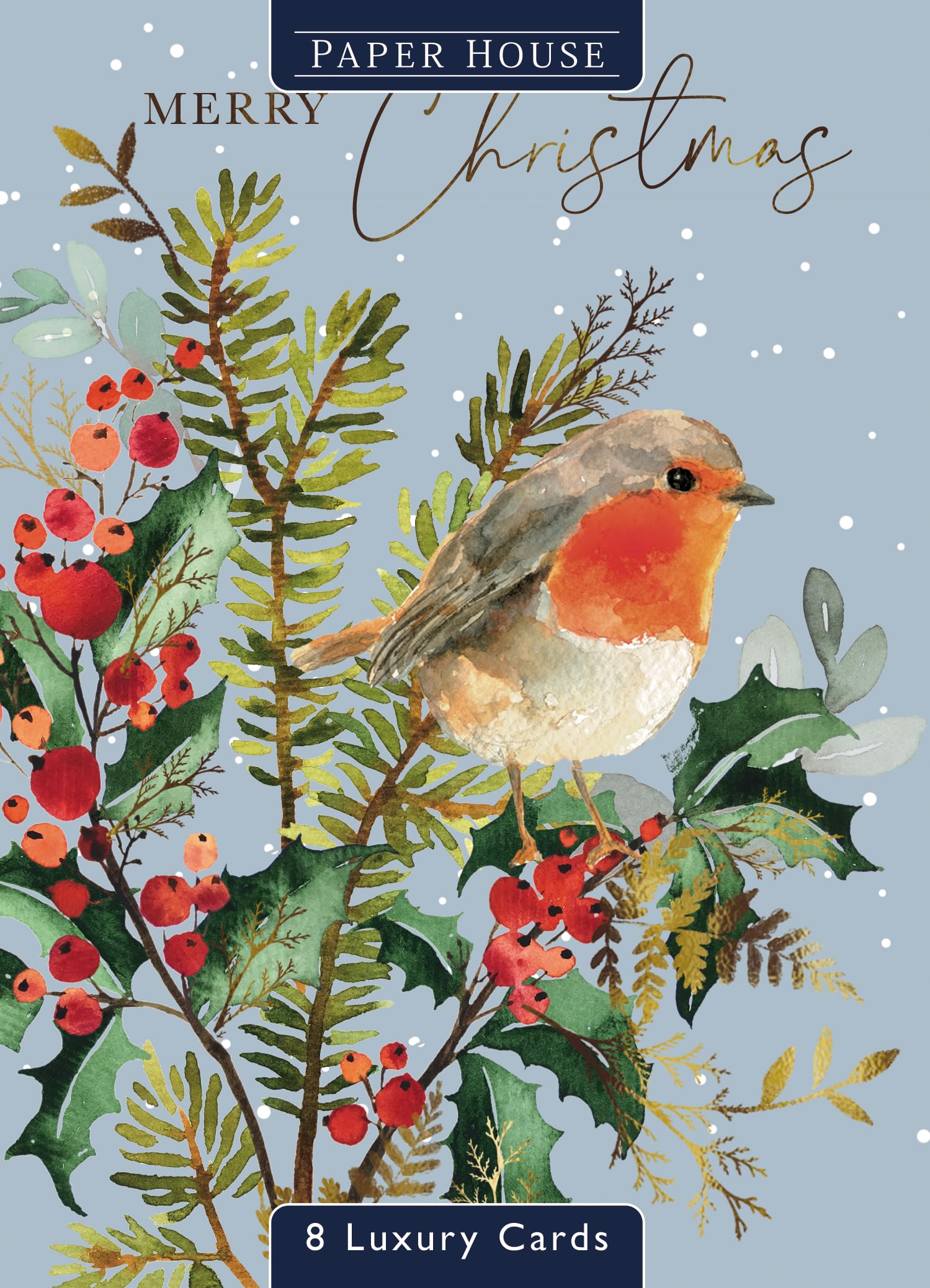 Box of 8 Paper House Robin-Tastic Xmas Blooms Christmas Cards in 2 Designs PWAP0014