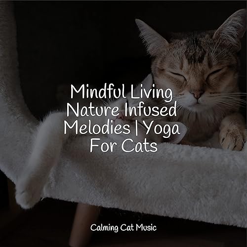 cat therapy for depression