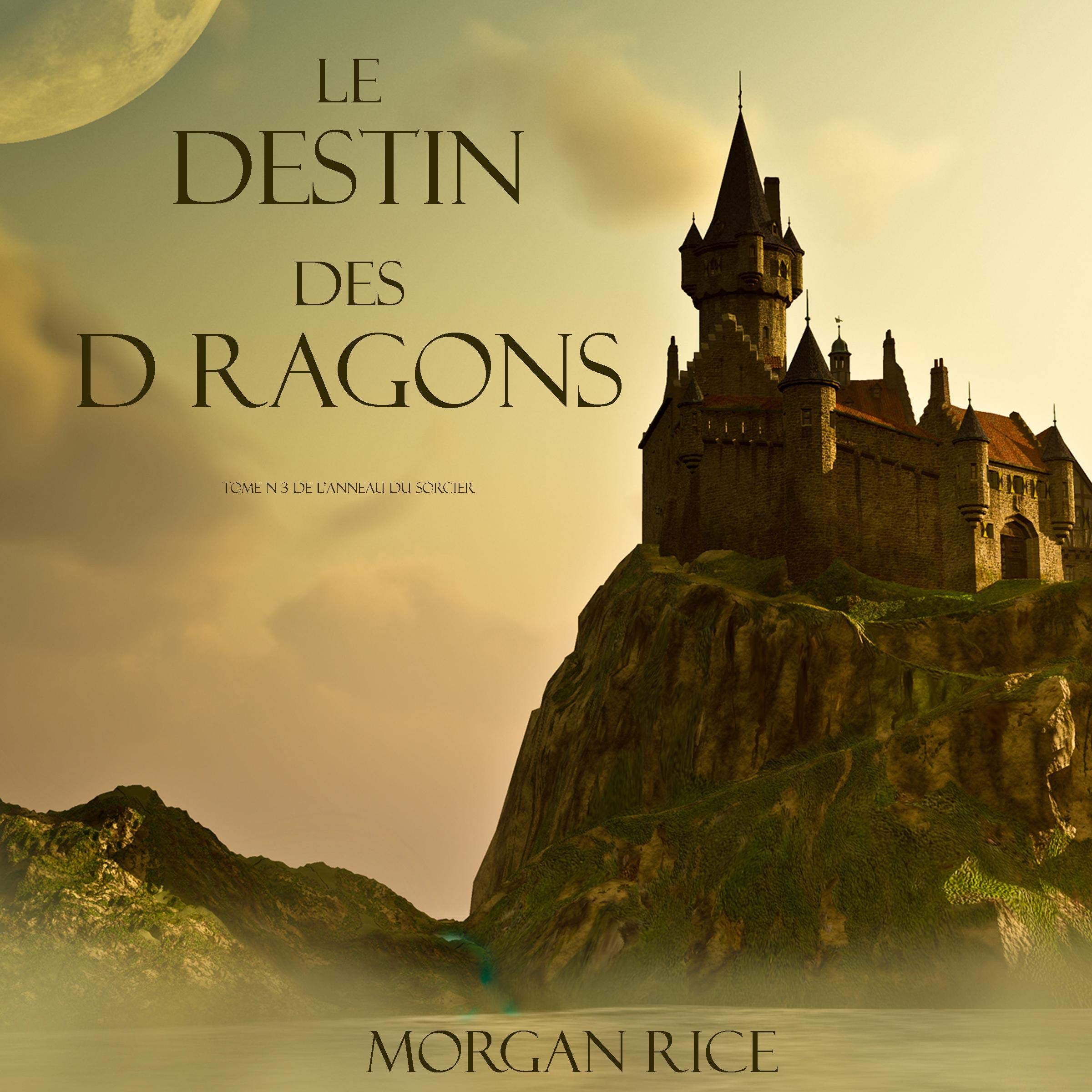 Cover art for Le Destin Des Dragons [The Fate of Dragons]