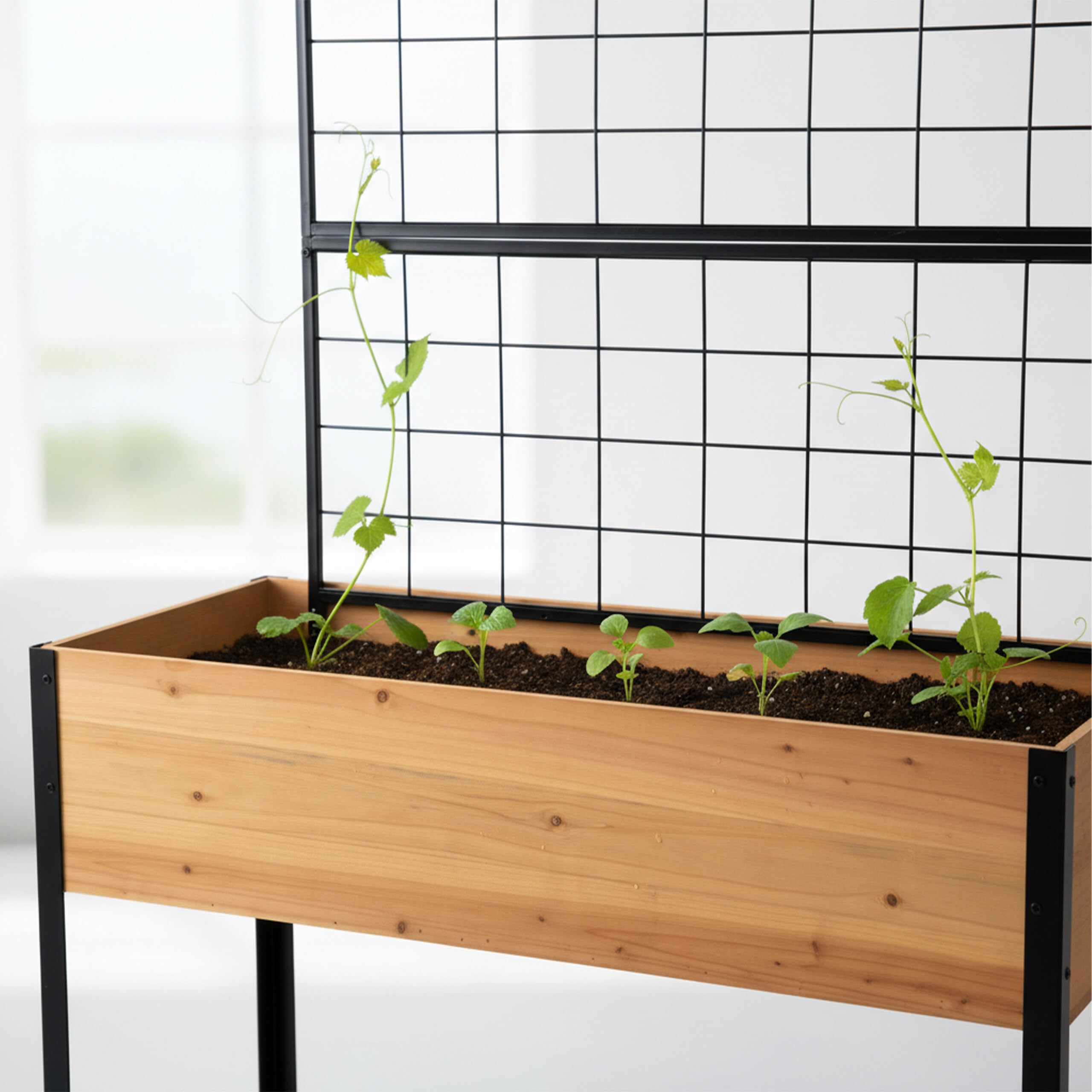 Relaxdays Potager surélevé en Bois avec Treillis, étagère, roulettes, 165x102x47,5 cm, Naturel/Noir