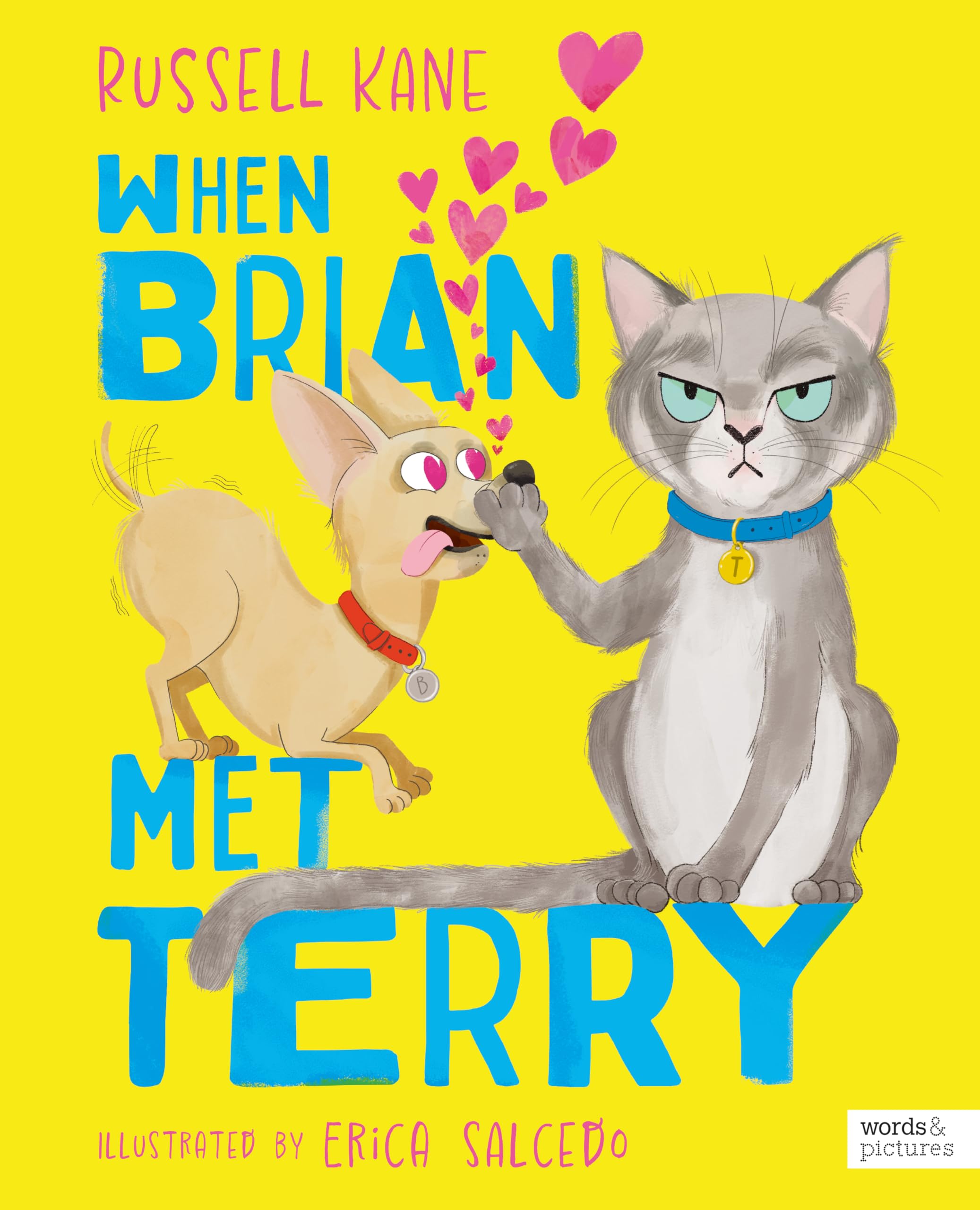 When Brian Met Terry by Russell Kane PAPERBACK 9781836006527