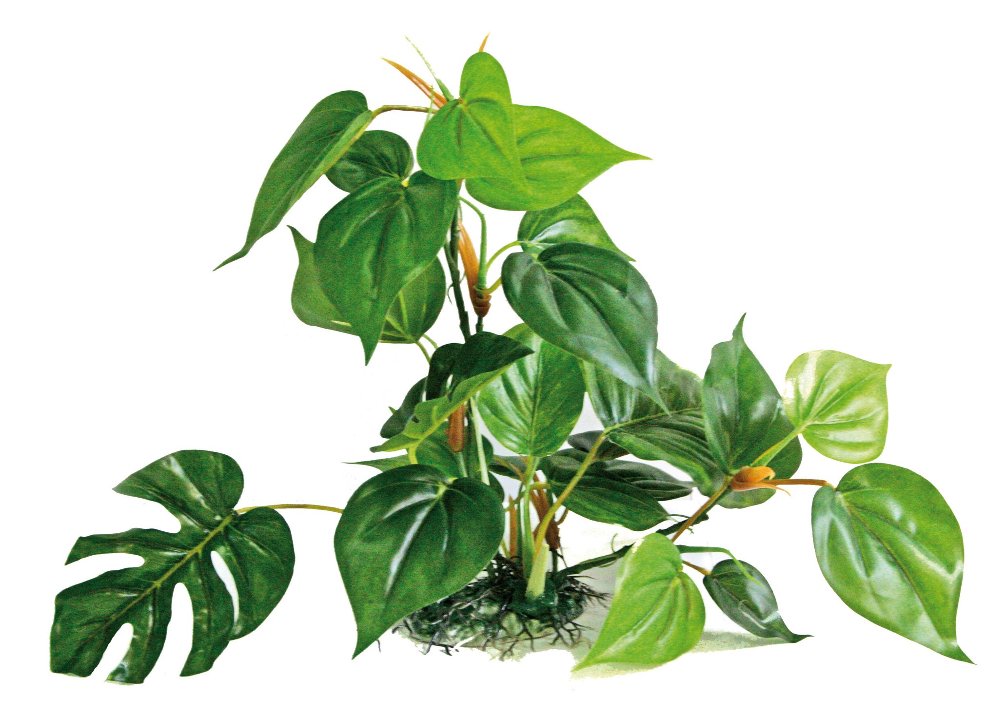 WAVE Plant Replica Anubias, 30 cm, Green