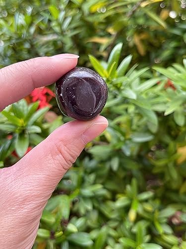 Miniatura 444 de GAF TREASURES Piedras pulidas de ojo de tigre de 1/2 libra, piedra preciosa natural pulida, cristales curativos de ojo de tigre (ojo de tigre)