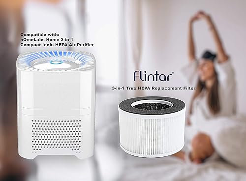 Miniatura 2 de Flintar Filtro de repuesto True HEPA, compatible con hOmeLabs Home 4 en 1 compacto HEPA purificador de aire HME020020N solamente, AKJ050GE, paquete