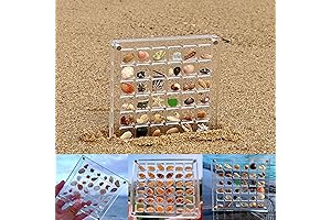 Acrylic Magnetic Seashell Display Box