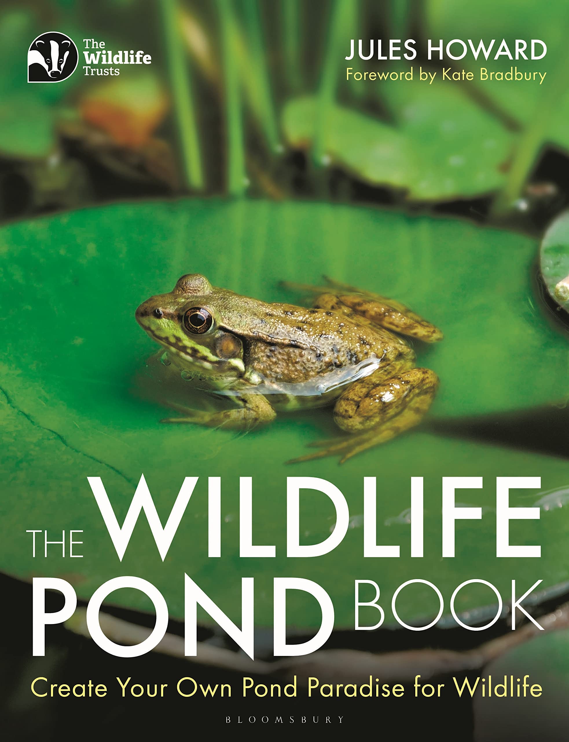 The Wildlife Pond Book by Jules Howard (Paperback Book)