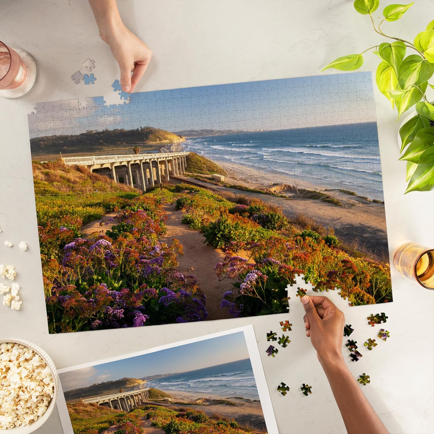 Lantern Press San Diego, California, Coastal View of Torrey Pines State Beach 1000 Piece Jigsaw Puzzle for Adults, Made in USA with Reference Poster