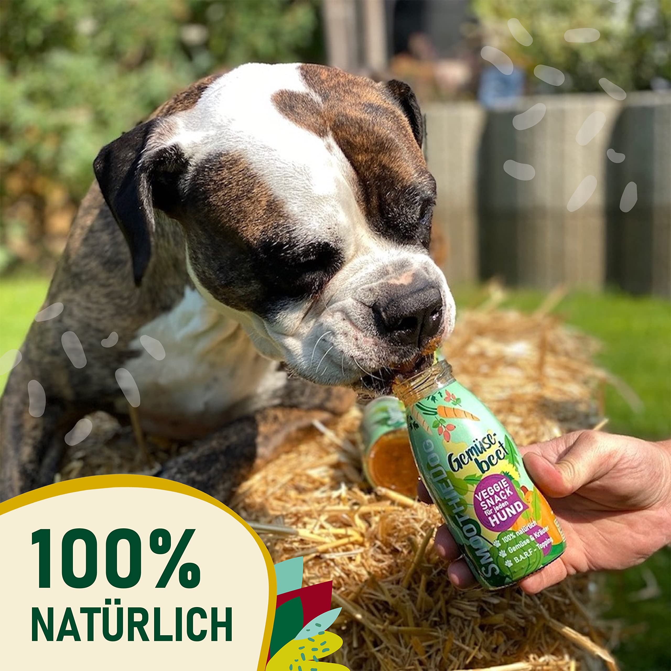 Hunde Smoothie SmoothieDog 12er Gemüsebeet (vegetarisch) - Flüssiges Hundeleckerli - Zucker- & glutenfrei - je 250ml