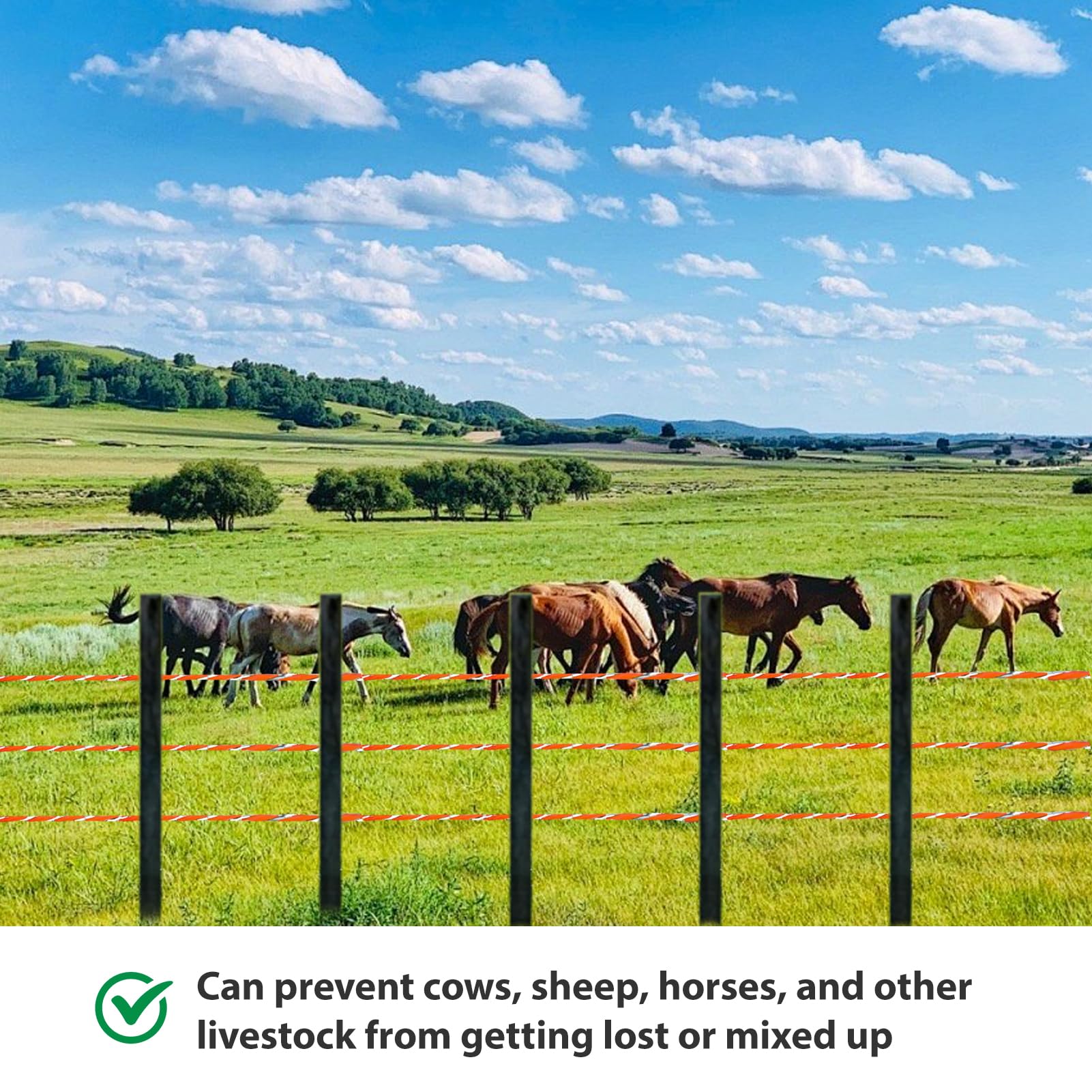 1000 M Fil de Clôture Électrique,Clôture Electrique pour animaux | 6 Brins de Fil Acier Inox,pour Clôture Electronique du Bétail,Résistant à Rouille, pour Chevaux, Vaches, Moutons et Chiens