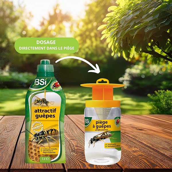 BSI - Attractif Puissant - Pour Piège A Guêpes Et Frelons - Adapté Aux Frelons Asiatiques - Naturel - 1L, Vert / Jaune, Translucide - 5