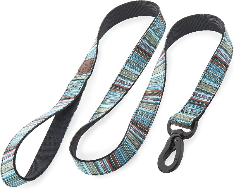 Embark Dog Leash - Heavy Duty Tough Nylon Training Lead for All Dog Breeds | Double-layered Nylon with Great Strength and a Strong Hook Lock for any Collar or Harness - 5 FT - BOHO