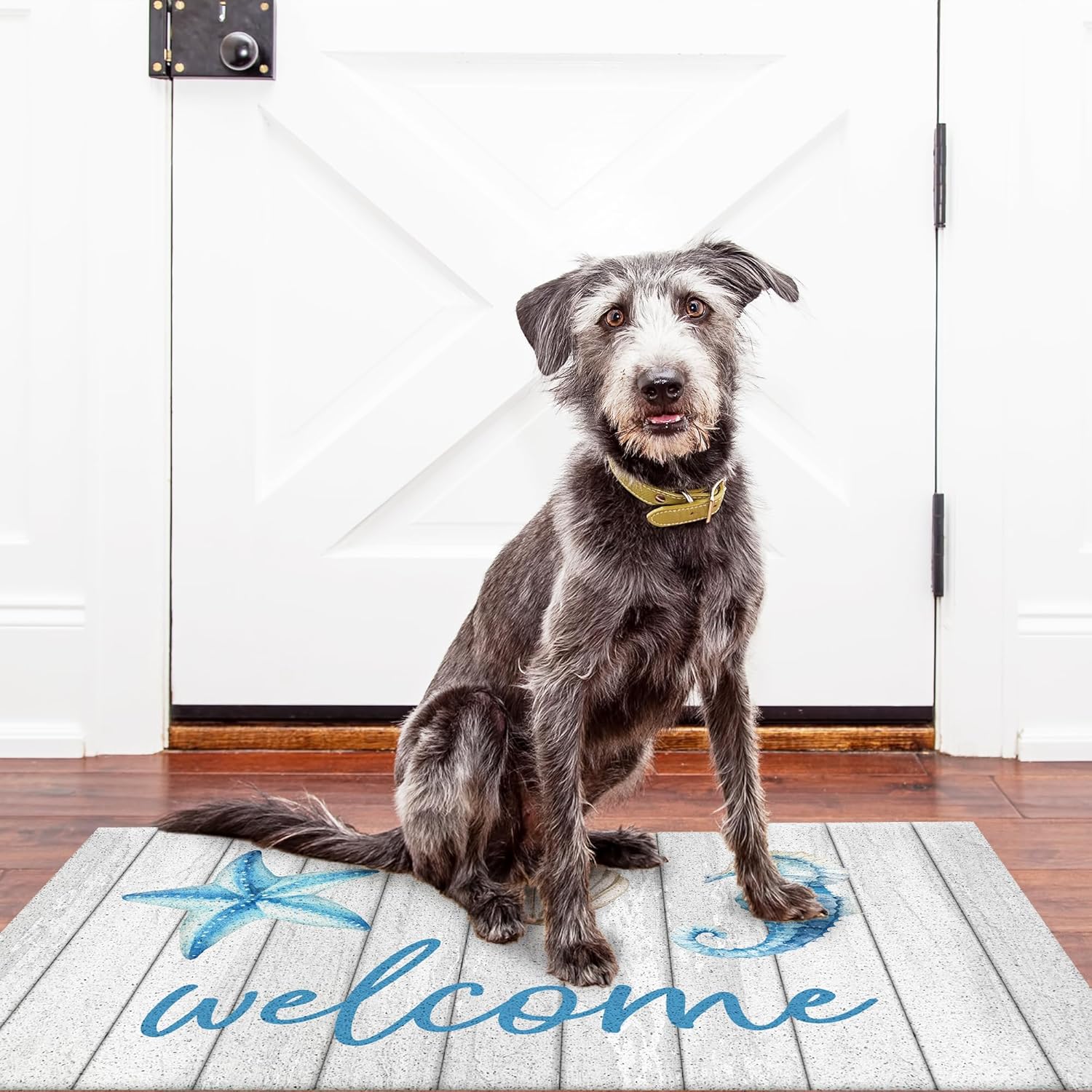 Jvpke Beach Welcome Mat for Front Door, White Beach Door Mat, Starfish Seashell Seahorse Beachy Door Mats Indoor Outdoor Entrance Porch, Ocean Beachy Baths Mats for Bathroom, 17x30 Inches