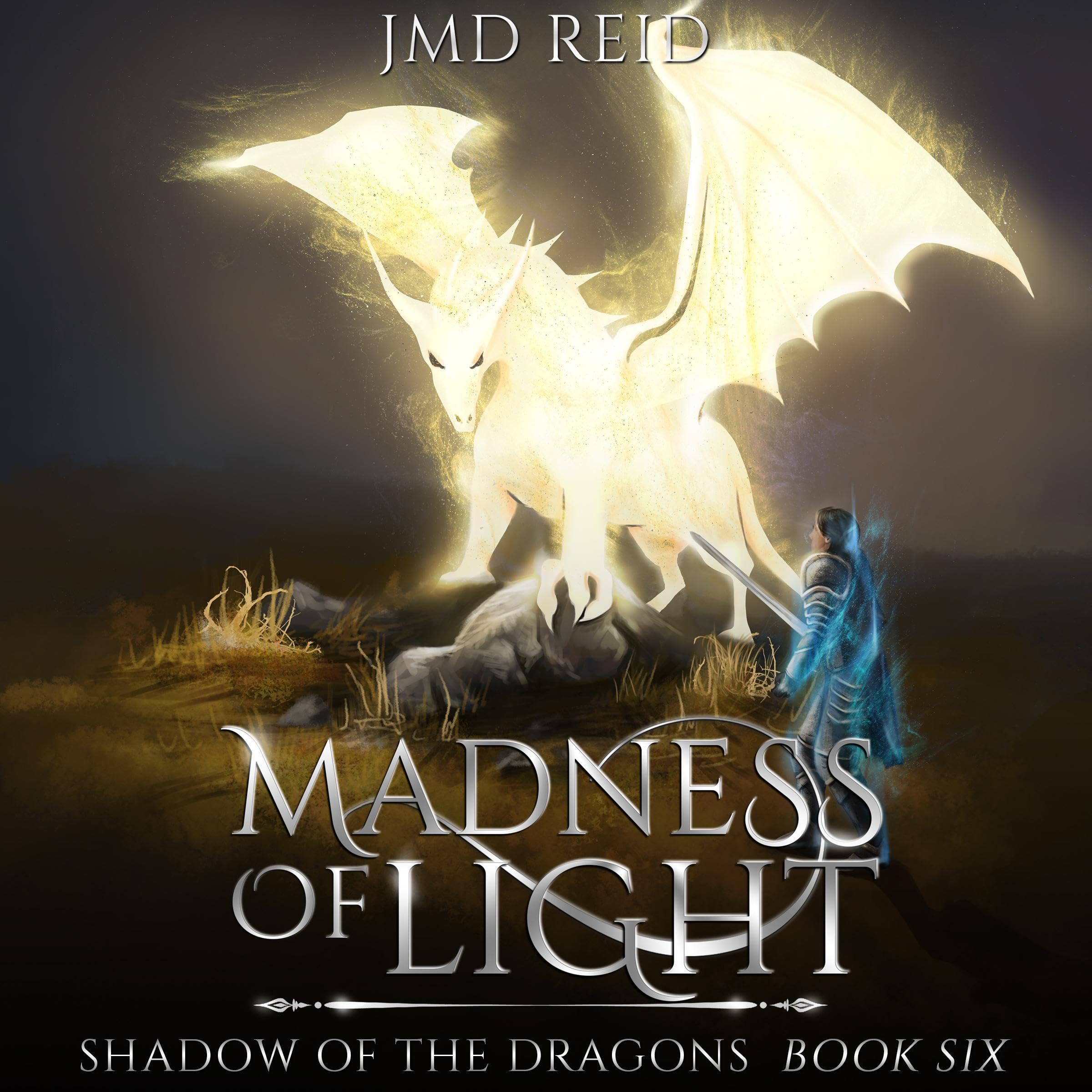 Cover art for Madness of Light