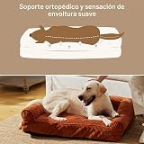 Ver la foto 3