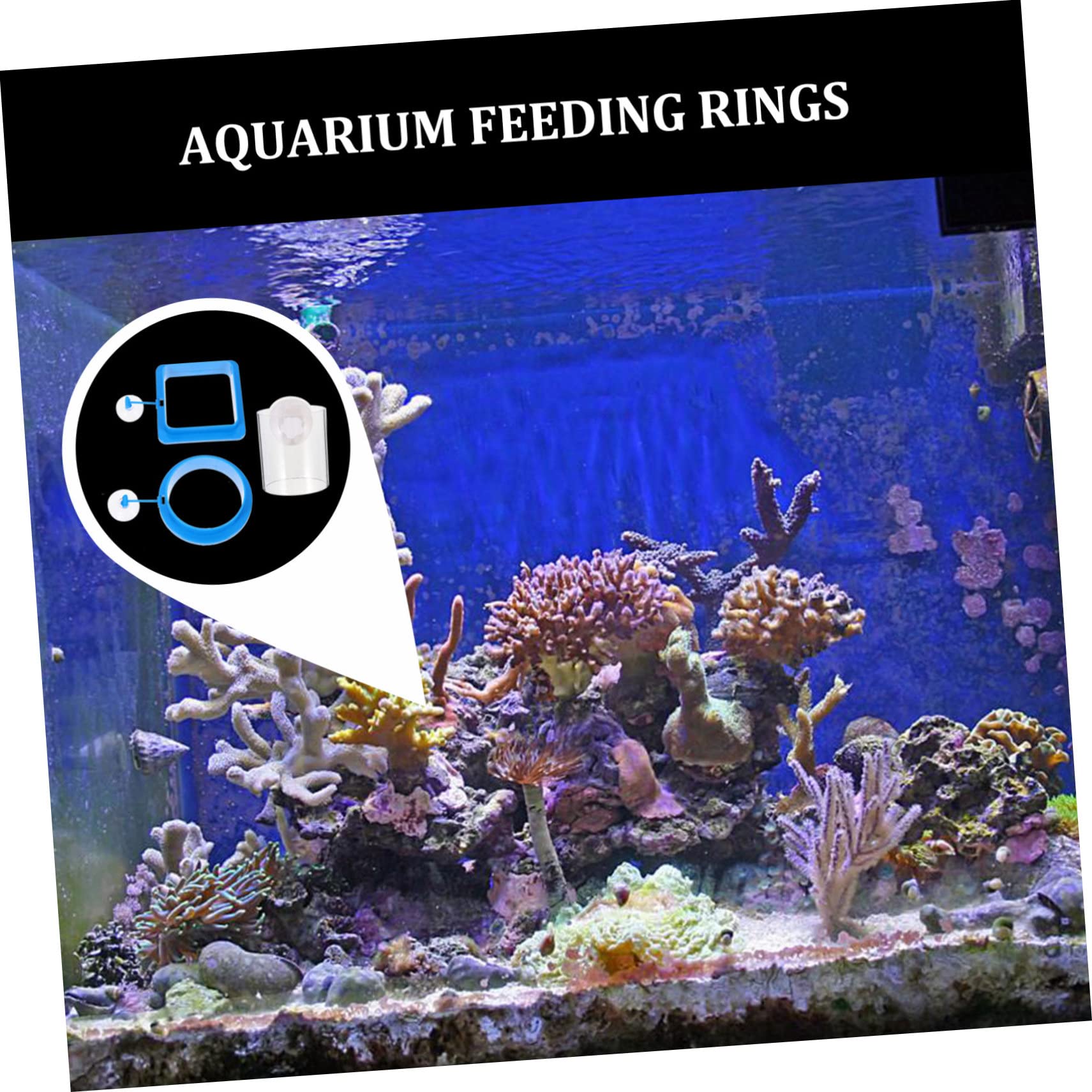 Yardwe 12stücke Teiliges Schwimmender Futterringe Für Aquarien Fischfutterspender Für Süß Und Salzwasser Installieren Mit Stabiler Saugnapfhalterung Für Tropische Fische Und