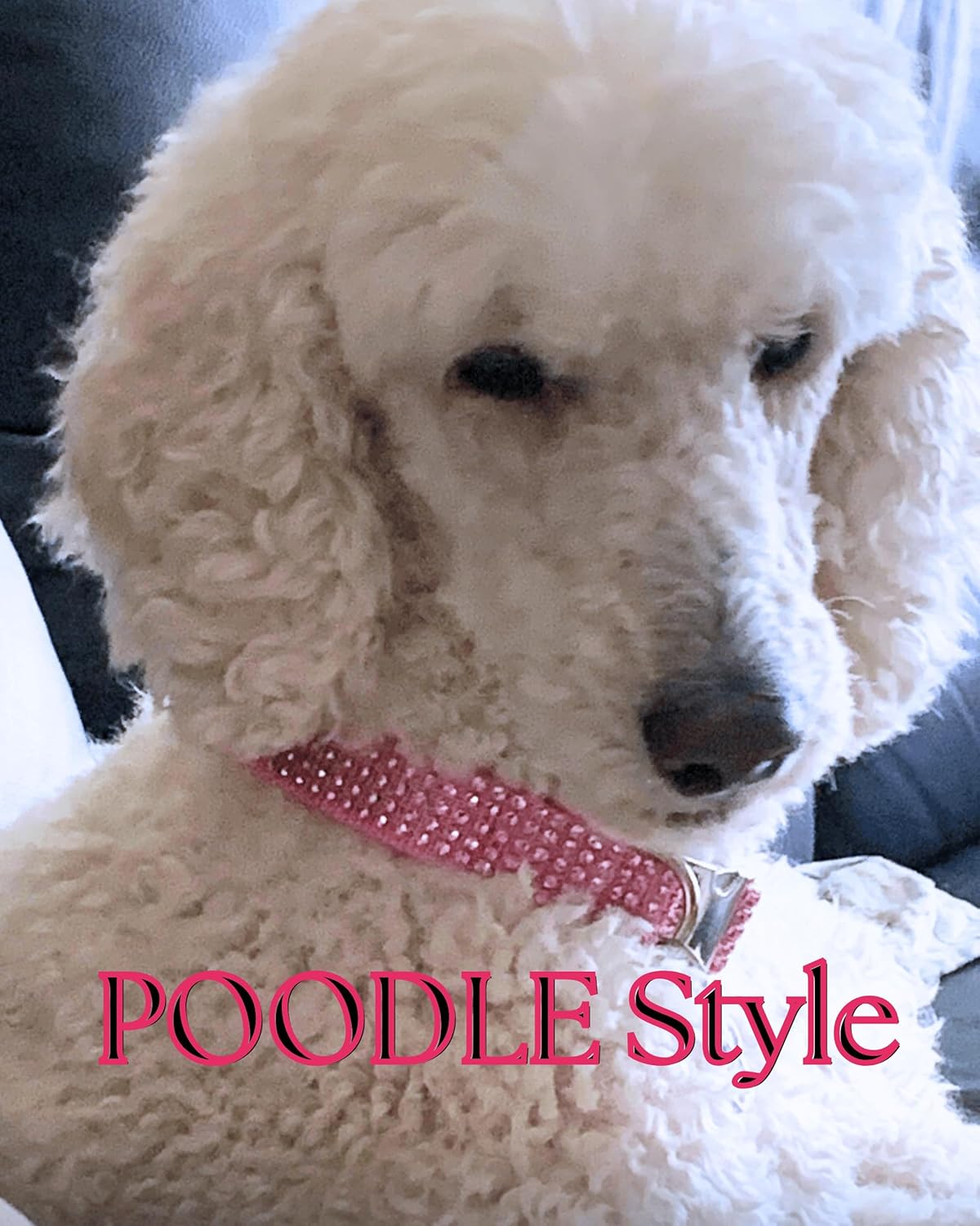 Fancy Engraved Rhinestone Dog Collar and Leash, Handmade USA, Faux Diamond Bling Dog Collars Gift, Resin Personalized Rhinestones Collar for Pet Puppy Small Medium Large Dogs (Pink, Medium 1 x 10-17")