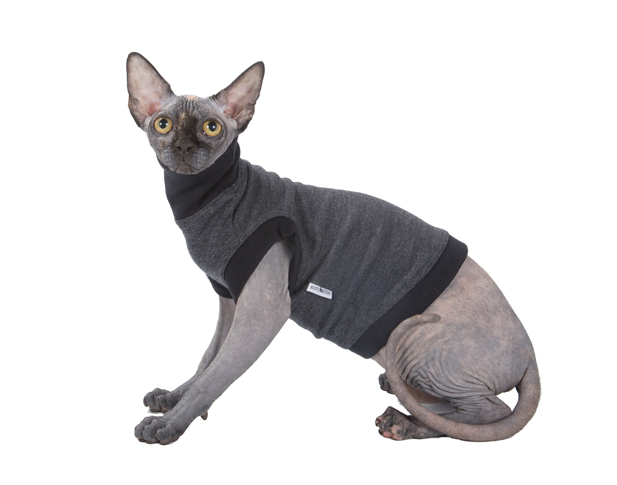 Vêtements pour chat à col roulé Boss taille M pull tricot chaud