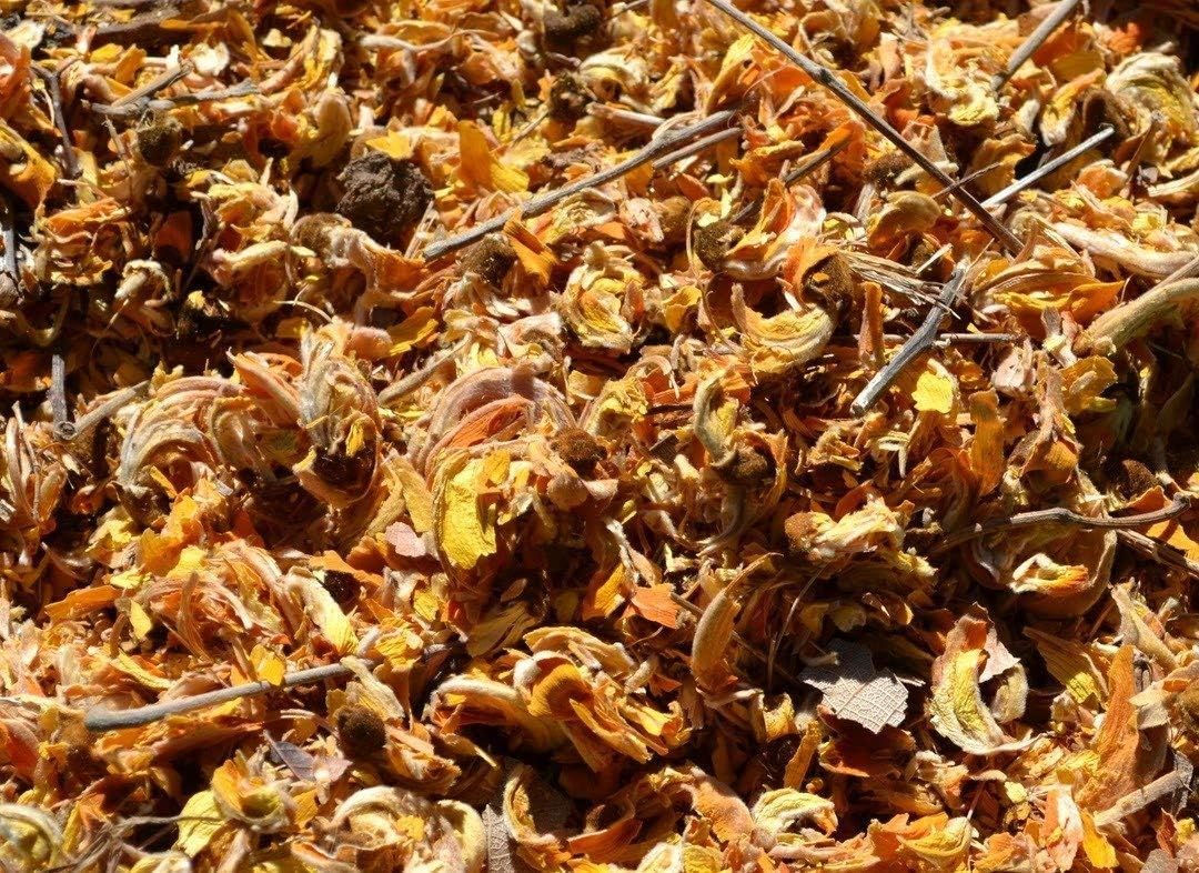 Divesh Store Dry Tesu Ke Phool 1000 Grm - Palash Ke Phool - Dhak Ke Phool - Bute a Monosperma - Tesu phool - Flower of Palash - Phool Tesu - Dhak Phool - टेसू के फूल